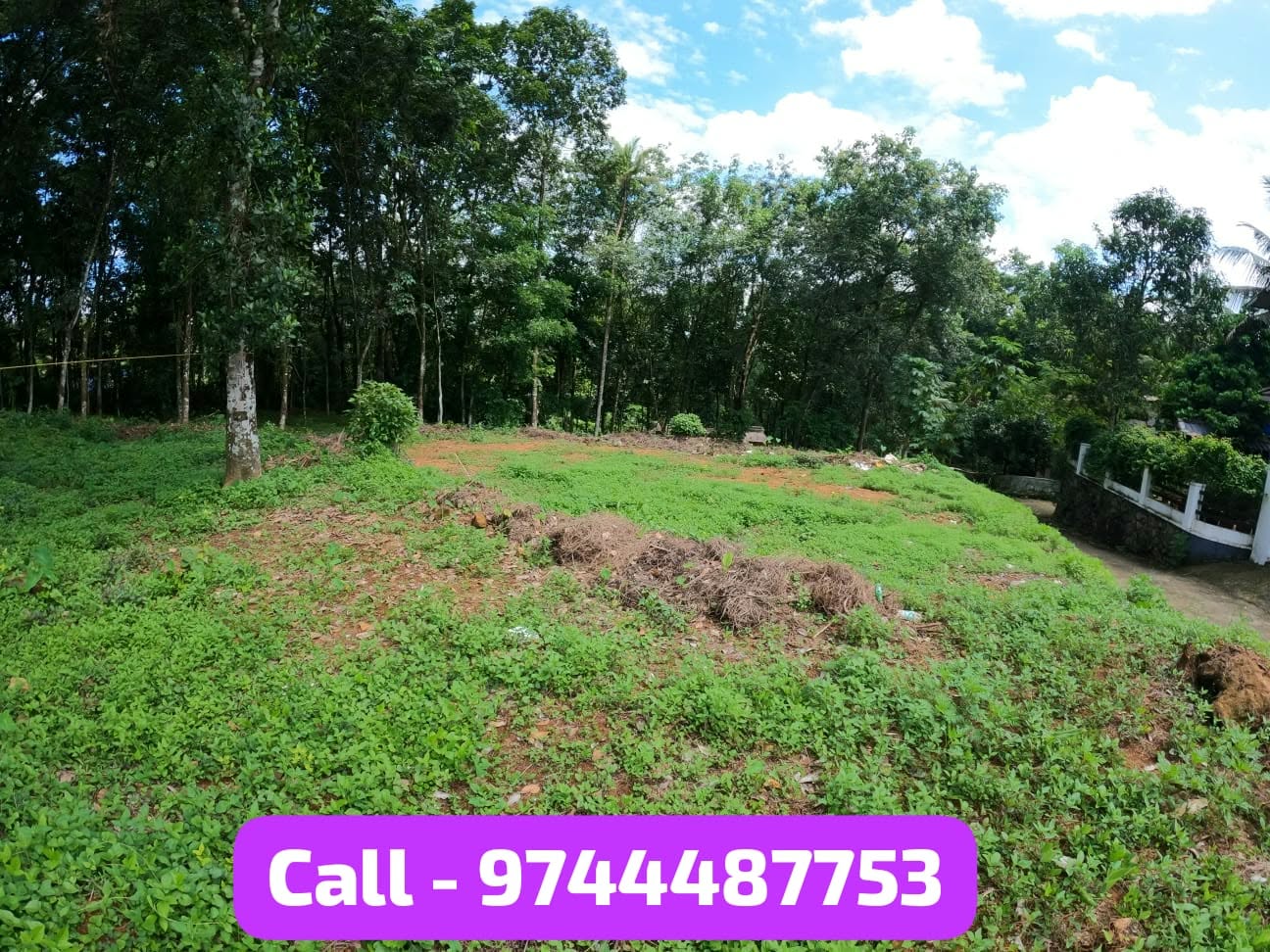 Residential Plot for Sale Edamattam, Pala